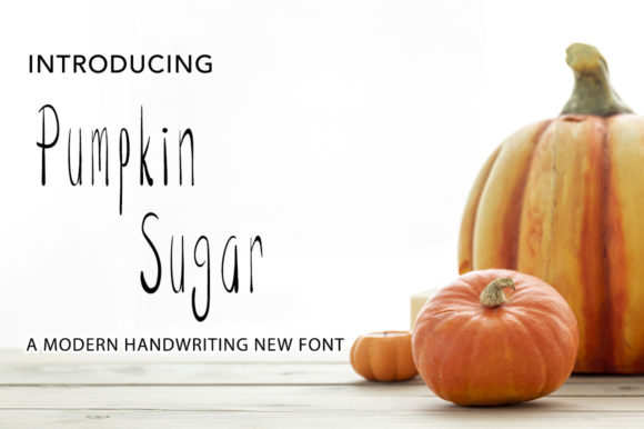 Elevating Brand Identity with Pumpkin Sugar: A Modern Handwritten Solution for the Digital Age